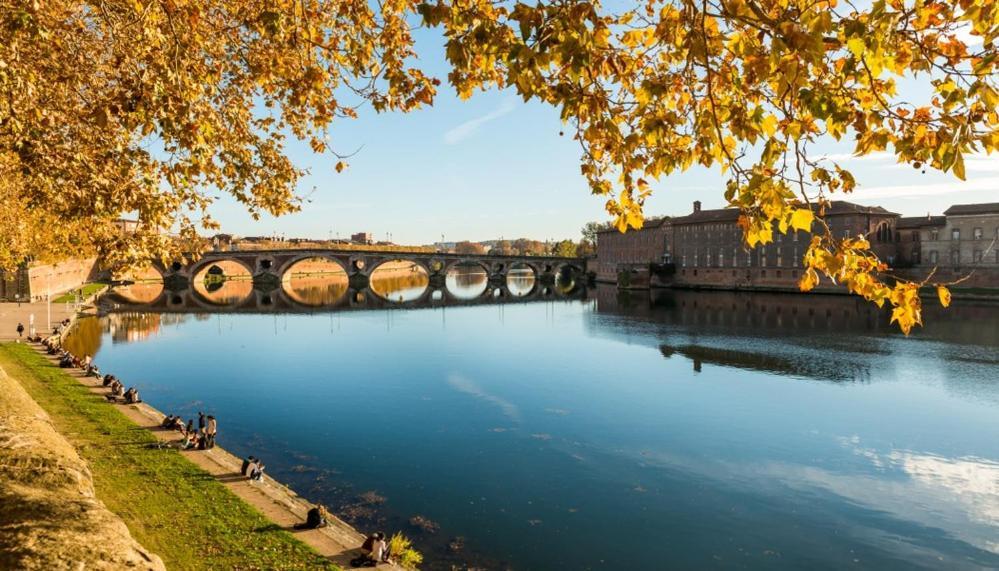 Appartement Moderne Renove Centre Ville Toulouse Bagian luar foto